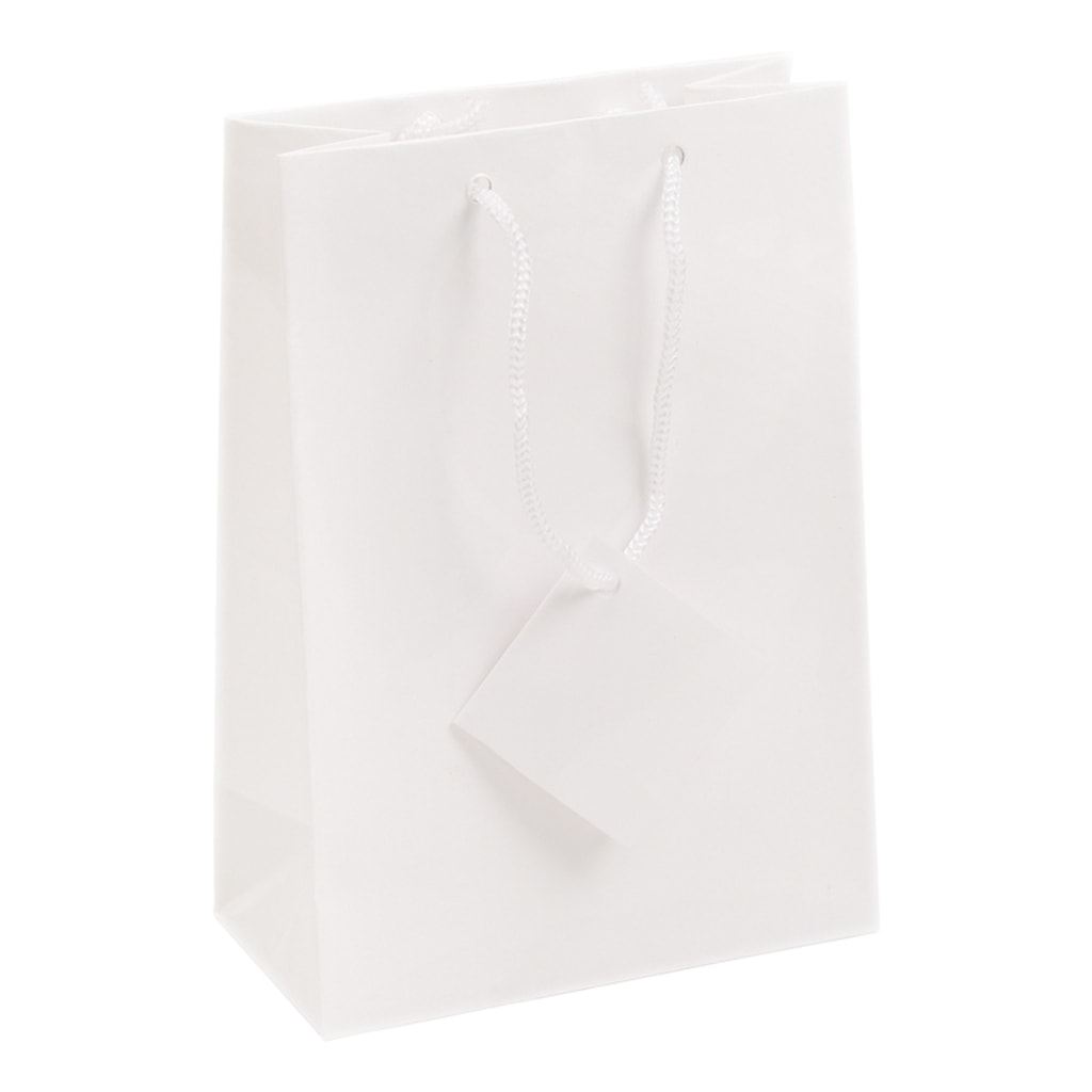 Download 7.75x9.75 White Tote Gift Bags Glossy Paper Shopping Bag With Handle Pack of 10 | Findings Outlet