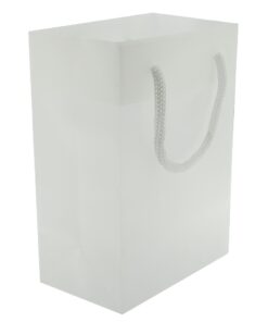 4.5x6.5 White Tote Gift Bags Frosted Paper Shopping Bag With Handle