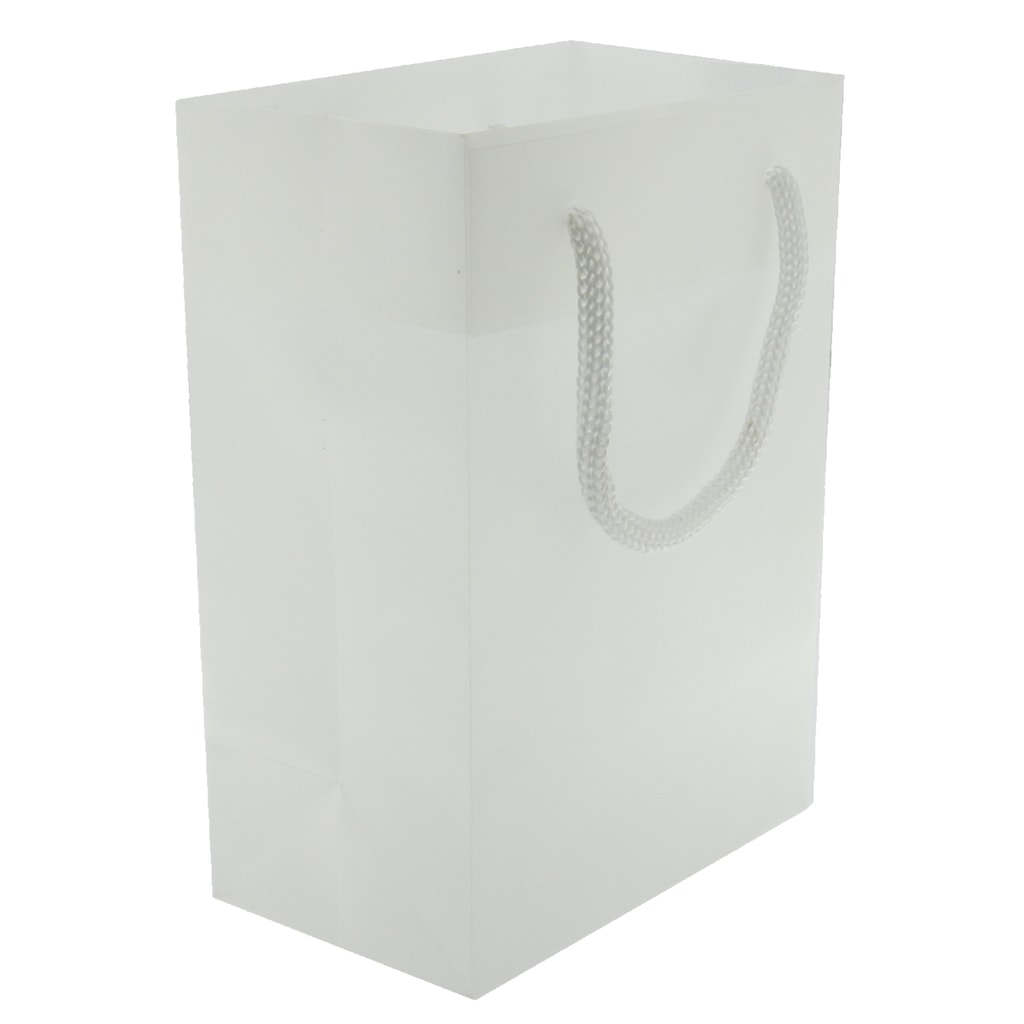  MODEENI White Gift Bags with Handles Medium Size 8x10 Wedding  Bags with Silver Handles 12 Bags Pure White Paper Shopping Bags 8x5x10 :  Health & Household